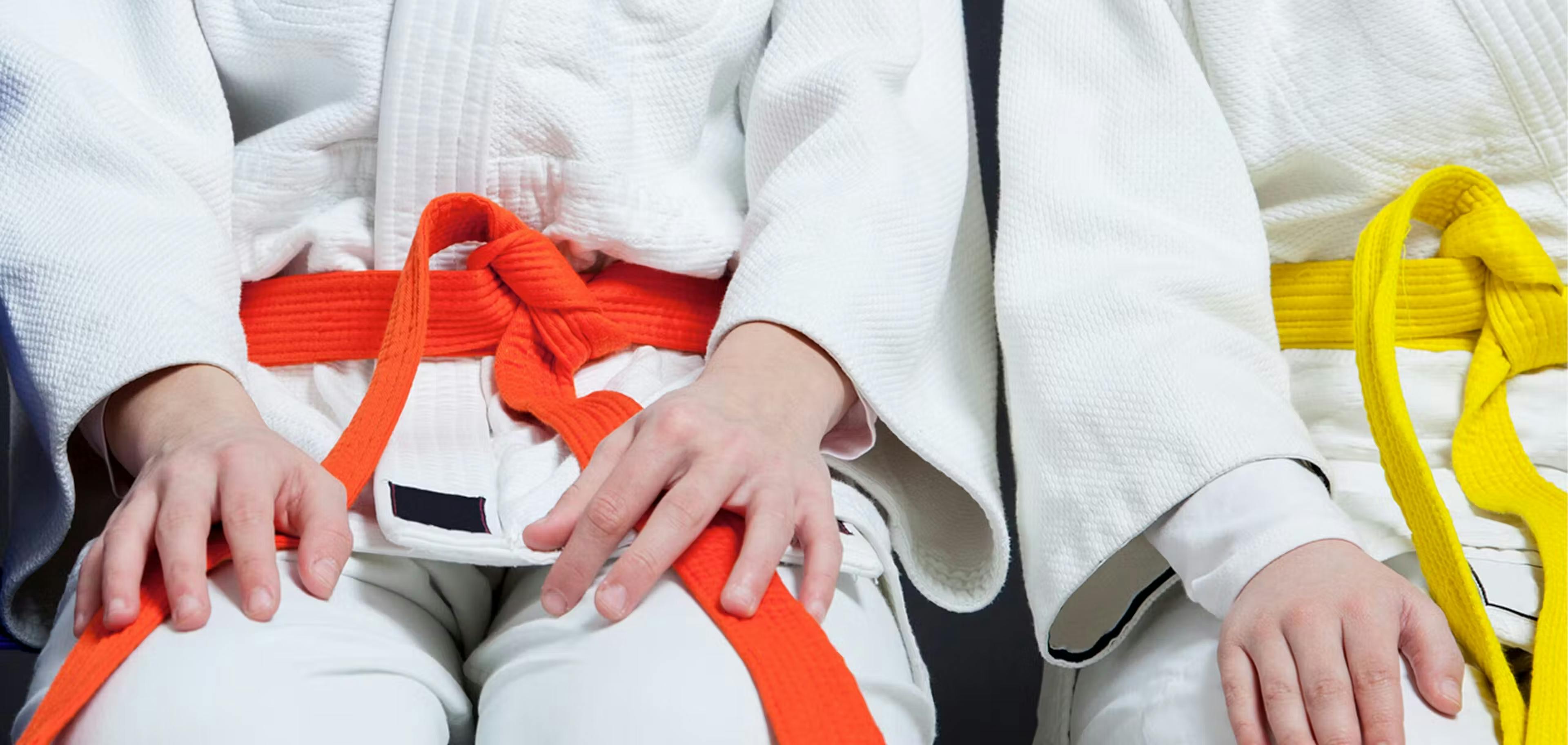 Regroupement Arts Martiaux Jeunesse