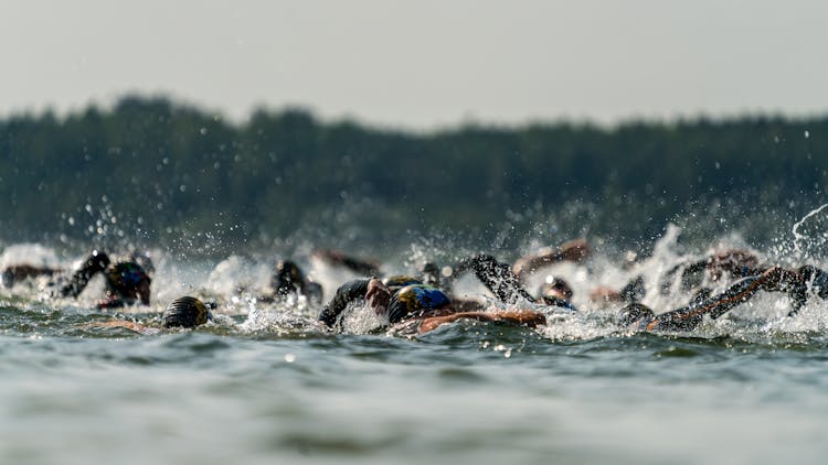 Adobe Stock 289350437