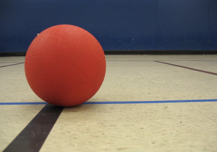 cloture-tournois-interfacs-ballon-chasseur