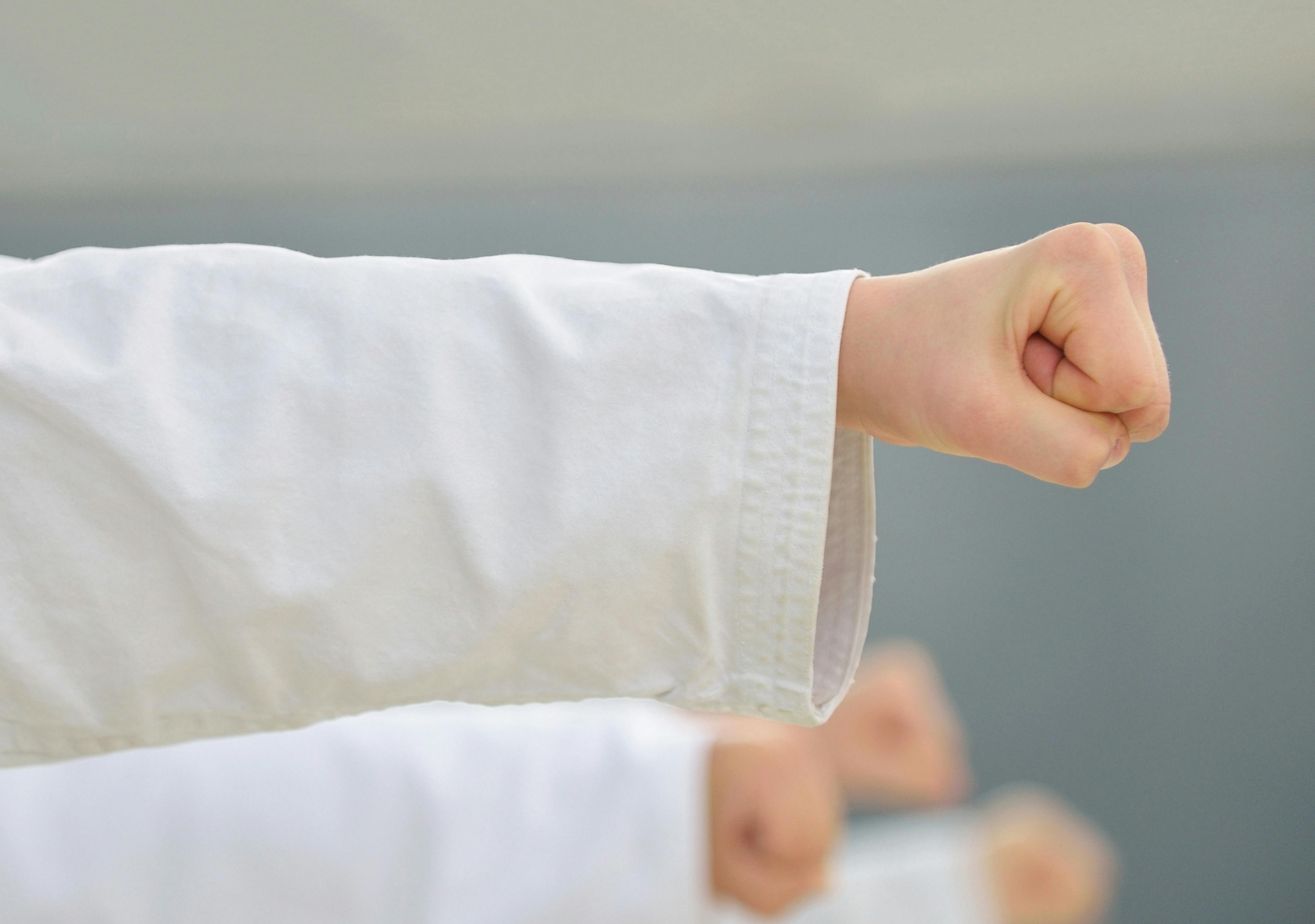 armartiaux-karate-ecole-niveau-1