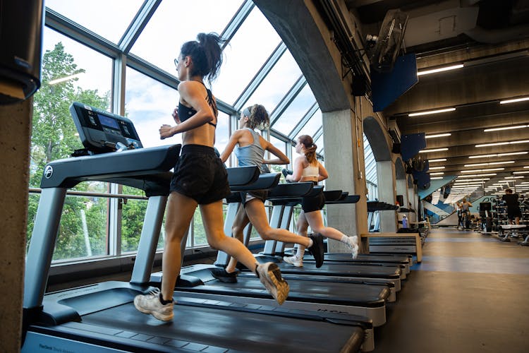 Article Entrainement