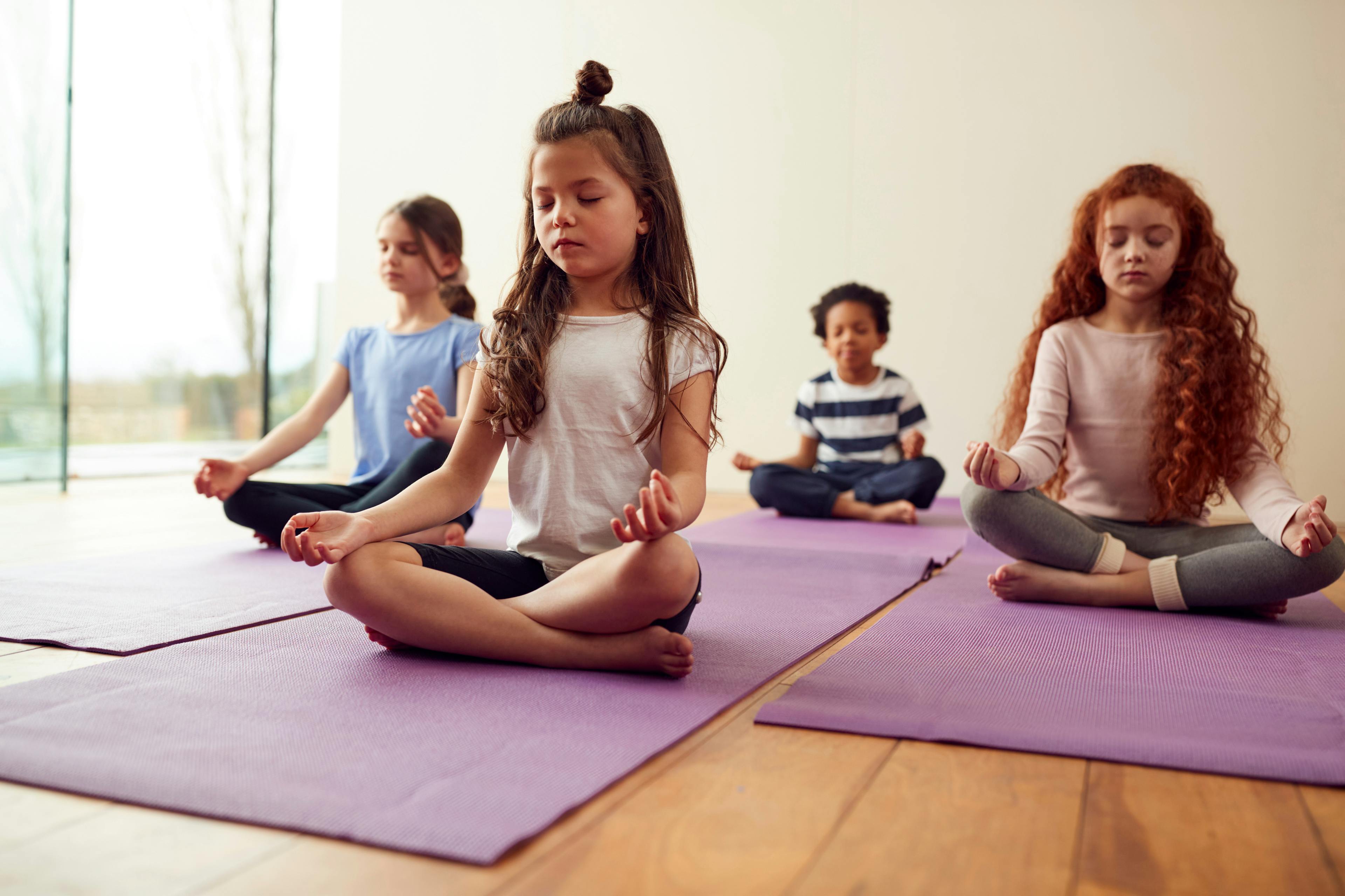 Cepsum Camps Mil Petit Yogi 8 9